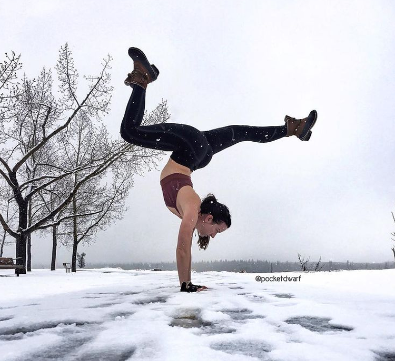 Evolve Yogi Spotlight: Instagram's PocketDwarf