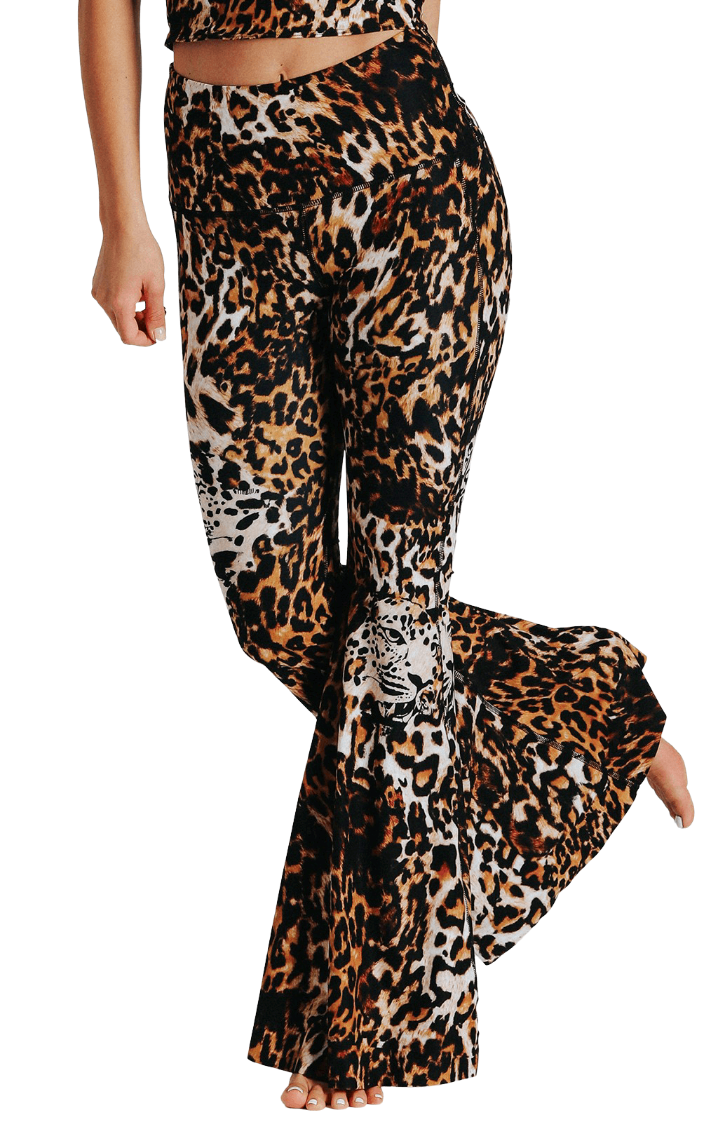 Wildcat Printed Bell Bottoms Front