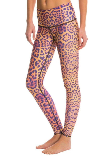 Teeki Purple Awakening Hot Pant - Evolve Fit Wear