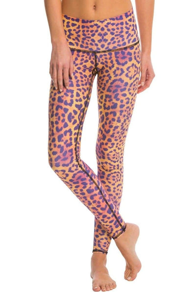 Teeki Purple Awakening Hot Pant - Evolve Fit Wear